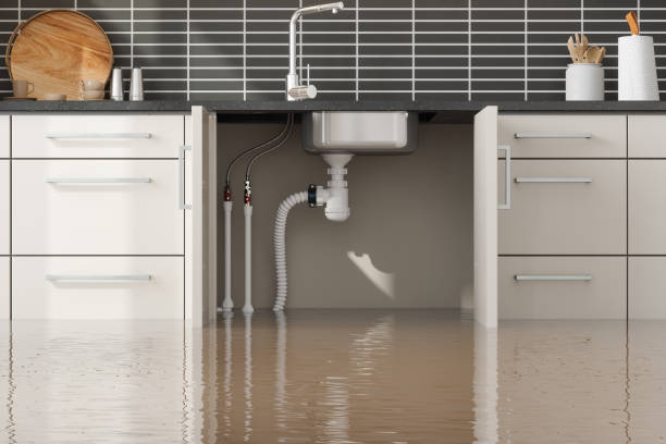  Spring, TX Water damage restoration Pros