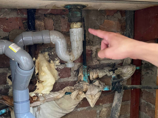 Best Basement water damage restoration  in Spring, TX