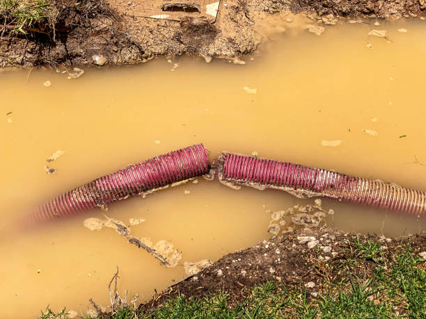 Best Carpet water damage restoration  in Spring, TX