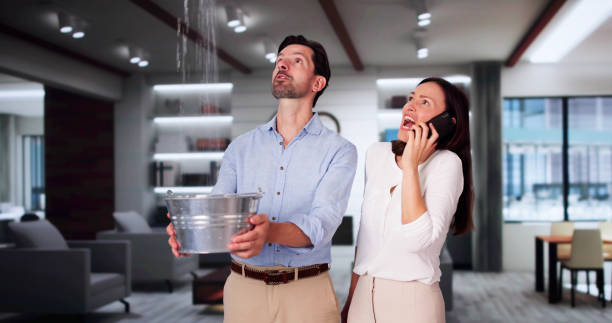 Best 24/7 water damage repair  in Spring, TX